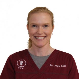 Dr. Angela Scott